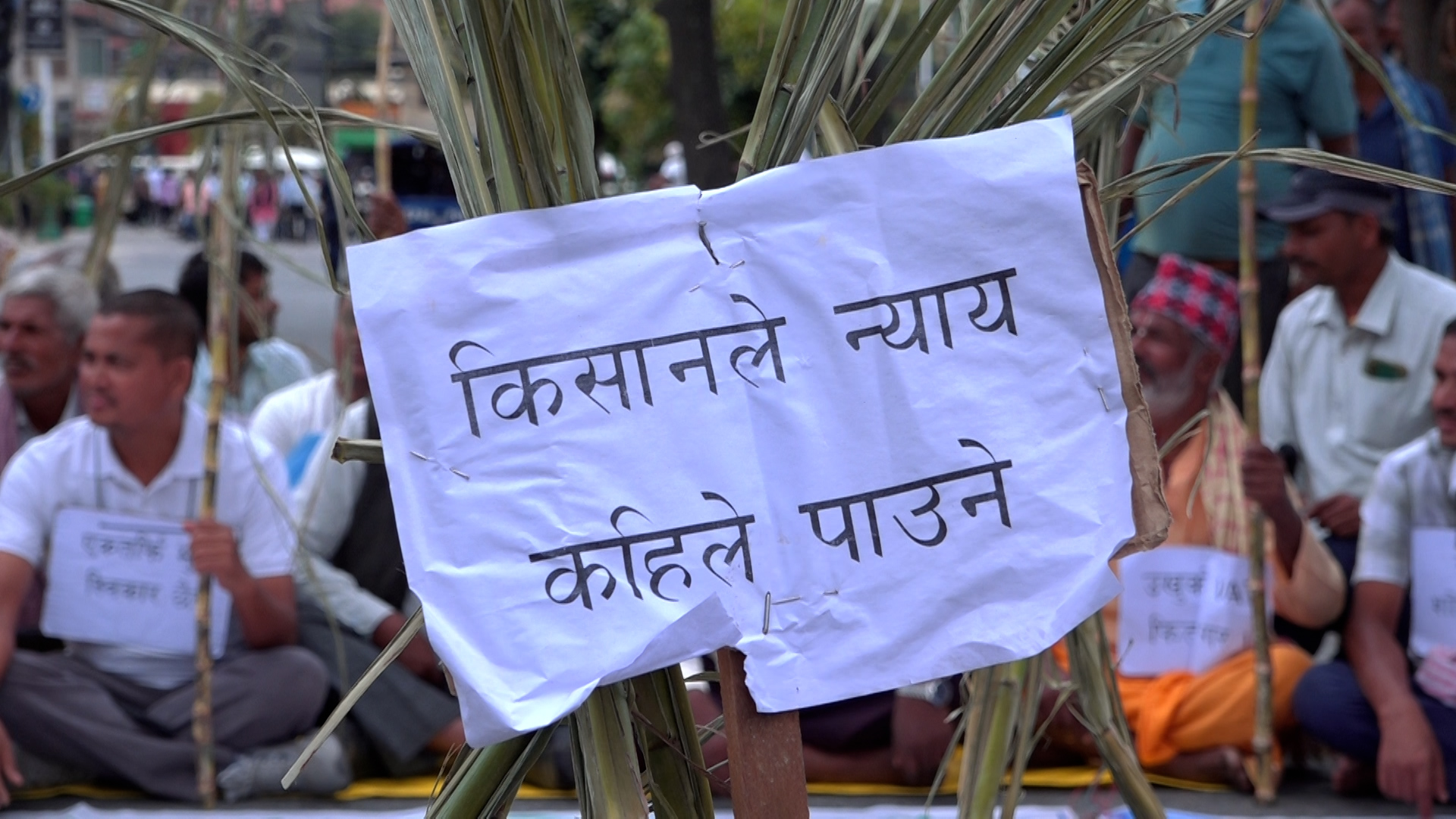 उखु किसानहरुको आन्दोलन आजपनि जारी, अनुदान खर्च कटौती गुर्नै खेदपुर्ण